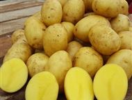 ���������, �������, ������ � ������� ����� � ������ � ������������� ����� ����� �������� ������ ��� � ������� ���� � ������ ��� �����? ������� �������, ������� - ����������������