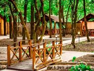 ���������: ����� ����������� 2355 �, ��, ���������, ���� �������� �������� ������� ����������� ������ �������� 2355 �. �� �� 110 ������ ����������� � ������. ���