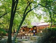 ����� ����������� 2355 �, ��, ���������, ���� �������� �������� ������� ����������� ������ �������� 2355 �. �� �� 110 ������ ����������� � ������. ���, ��������� - ������������ ������������