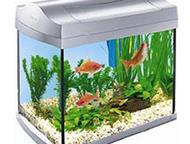   ArovanAqua    -    ArovanAqua       ,  -  