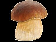 Краснодар: Белый гриб сушеный с Алтая Белый гриб сушеный с Алтая    Гриб белый сушеный первый сорт, второй сорт, третий сорт. Территориальный сбор: Алтайский кра