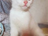                -   ,  3  ,        ,  ,  -    