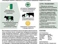 :   (   10)      poa 1 - 1, 5   o  .   e o