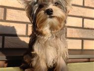 ����� ������������ ������� (������� ����) ����� ������������ ������� (������� ����) ������� ������� ������ ������� ������.   ���� �������� 21. 04. 202, ������ - ������� �����,  ������