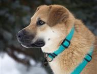 ������: �������� ���������� ���� ��� � ������� �����! � ������ ����, ������ � �������.   ����������, 4, 5 ����.   �� ���������� ����� ���� � ����� ��� ���� ��