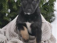 ������: ���� ������������� �������� ���� ���, #������ , ������ � ������� ������  �� �����-������� ����� �����, � ������ ��� �������� ���, �� �������� ����� ��