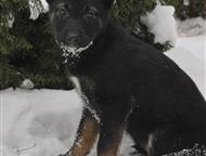 ������: ���� ������������� �������� ���� ���, #������ , ������ � ������� ������  �� �����-������� ����� �����, � ������ ��� �������� ���, �� �������� ����� ��