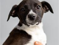 ������: ������� �������� ������ ���� ���, �� �������. ������ ������, ������� ����� ����� ���� �������.   ����� �������, �������, �������� � ���������� �������