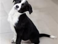 ������: ������� �������� ������ ���� ���, �� �������. ������ ������, ������� ����� ����� ���� �������.   ����� �������, �������, �������� � ���������� �������