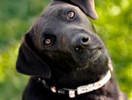 ������: �������� ������� ��������� ���� ���, ������ 1 ���. �������������, �������, ����������. ����� �� ���������� � �����, ��� ��� 2 ������, � �������� ��� �