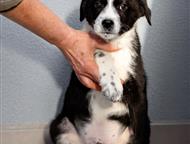 ������: �������� ����� ����� ���� ���, ����� - �����. �� ����� ������ �������� 4 ��. ��� �� ������ 2- �������. �������. ����� ����������� ���������. ����� � �