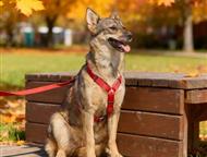 ������: ���� - ����������� �������, � ����� ������ ������� ������ � ��. ���� �� ����������, �� ������, �� ������� ��������, �� ����������� ������� �� ��������