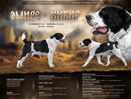 �����-���������: ��������������� ������� ����� ��� ������� � ���������� ������� ������������ �������� ����� ������ 02. 12. 2025 �.   �� �������� ������� ���������.   �