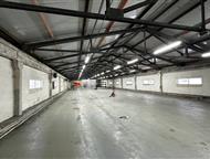 �����-���������: ���������������� ��������� � ������ ���������������� ��������� � ������  850�1750 �² | 1 ����� ��������� | 150�300 ��� | ��� | ������ 6 � | 