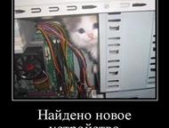 ���������: ������������ ������, ���������,�����������,������ ���������, ������� � ��. �� ��������, ��������, ���� ����� ������ � �. �. , - �������, ������� ��